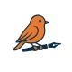 wordsbird-bird-solo-transparent